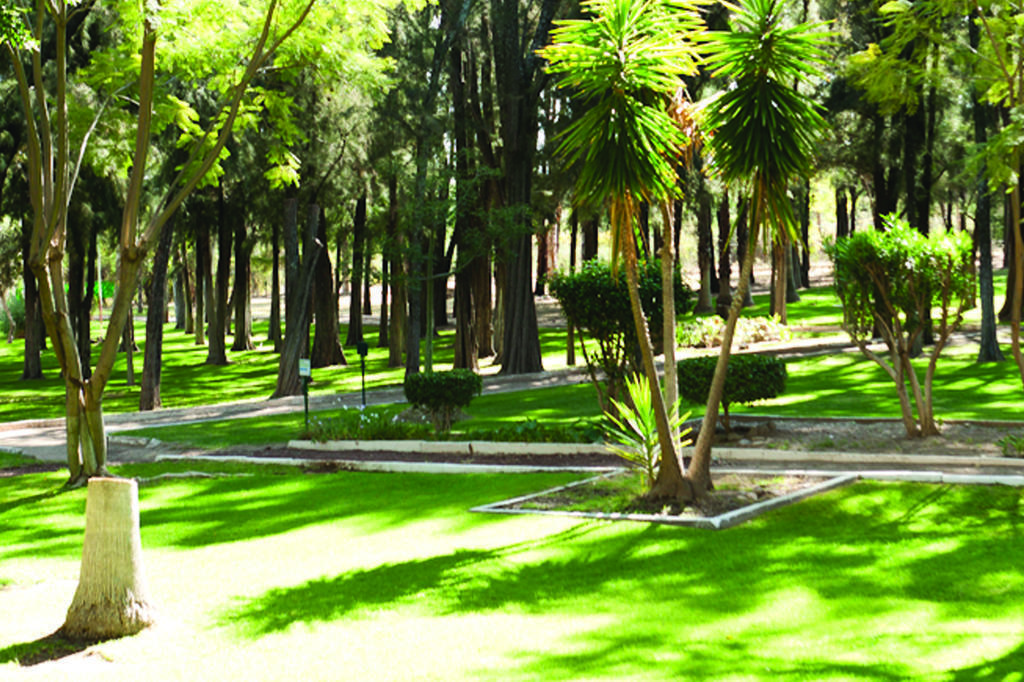Mision Comanjilla Hotel Exterior photo